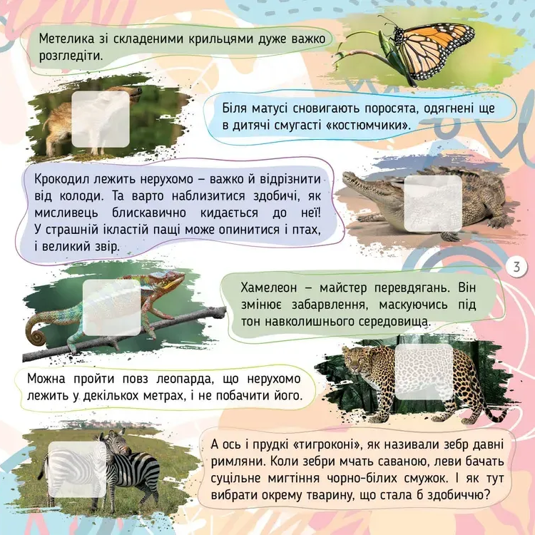 Книга 100 цікавинок. Комахи. Фото 3