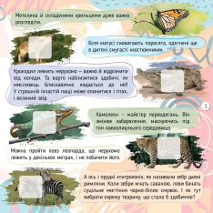 Книга 100 цікавинок. Комахи. Фото 3