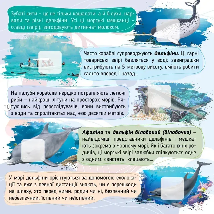 Книга 100 цікавинок. Моря, океани та їхні мешканці. Фото 4