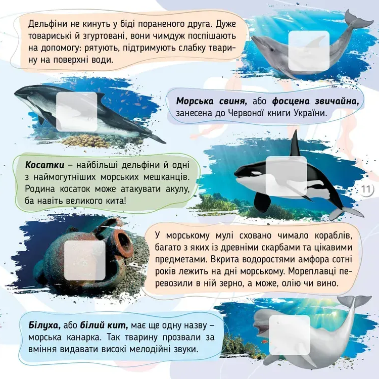 Книга 100 цікавинок. Моря, океани та їхні мешканці. Фото 5