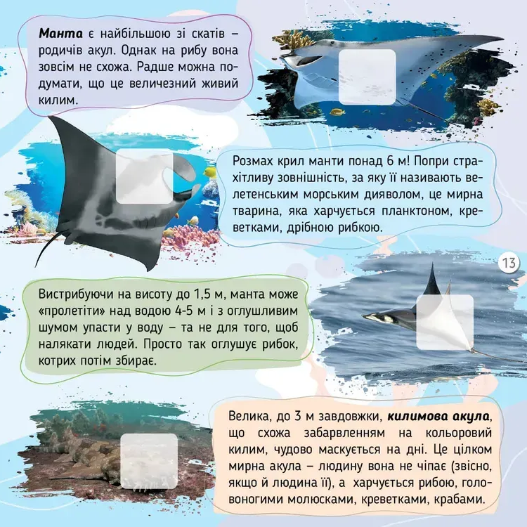 Книга 100 цікавинок. Моря, океани та їхні мешканці. Фото 7