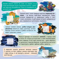 Книга 100 цікавинок. Моря, океани та їхні мешканці. Фото 2