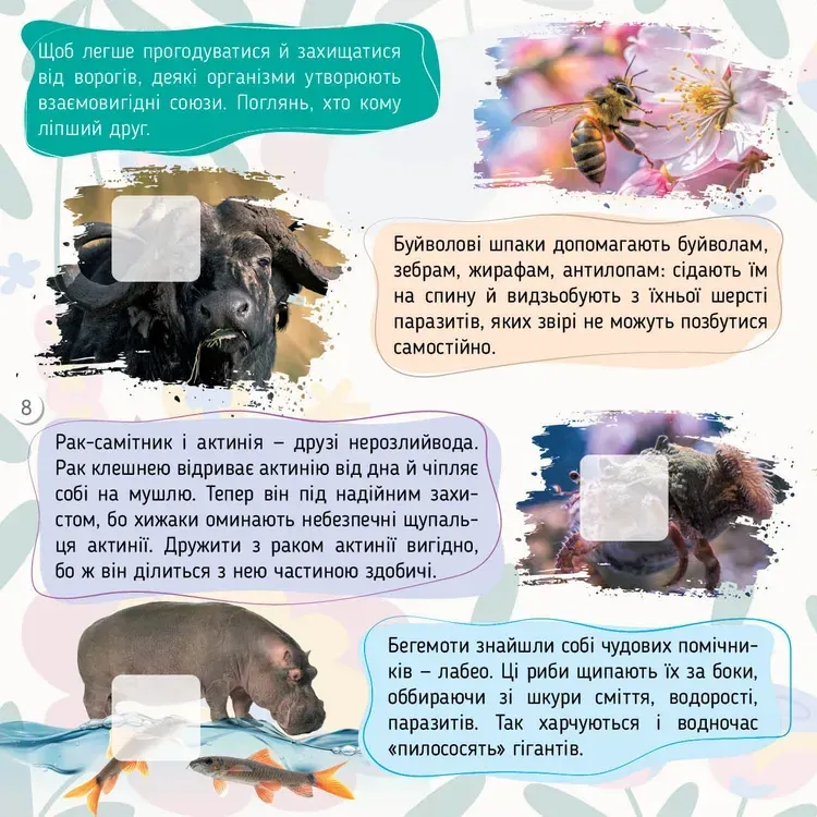 Книга 100 цікавинок. Тварини. Фото 4