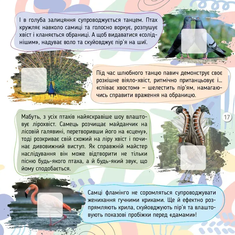 Книга 100 цікавинок. Тварини. Фото 7