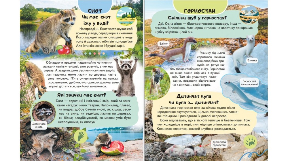 Енциклопедія Дикі тварини. Звички і спосіб життя. Фото 5