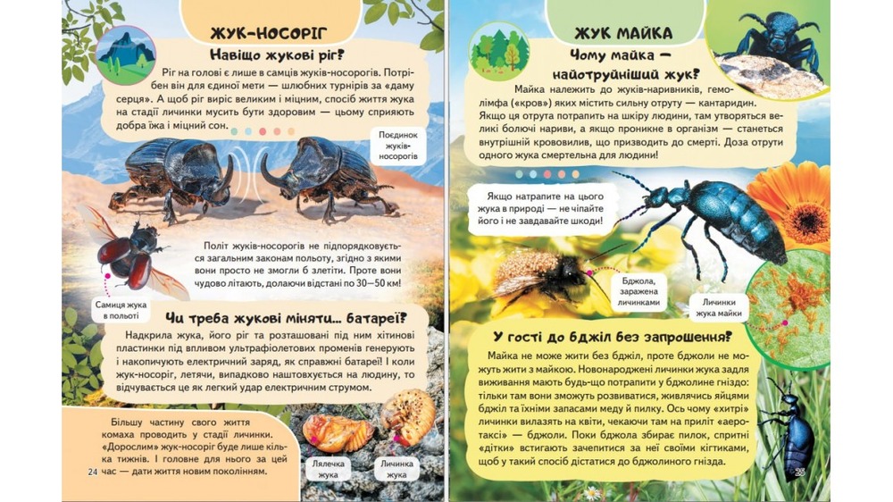 Енциклопедія Комахи та інші. Життя маленьких істот. Фото 4