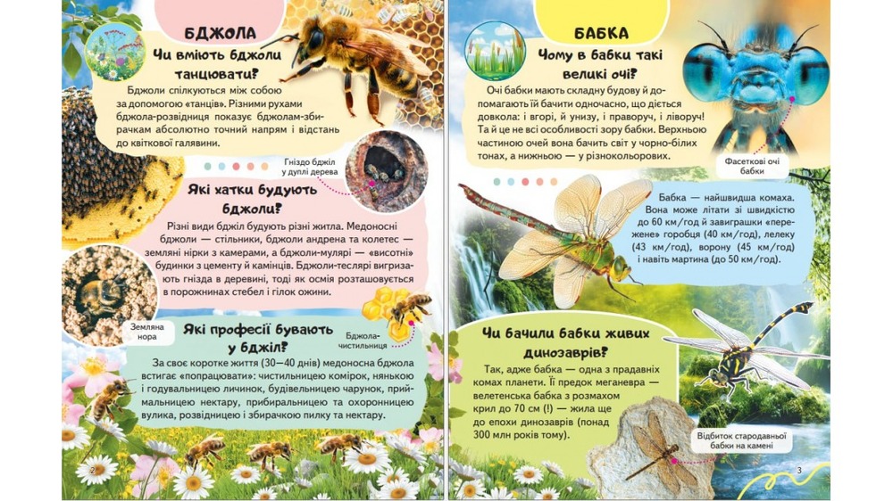 Енциклопедія Комахи та інші. Життя маленьких істот. Фото 3