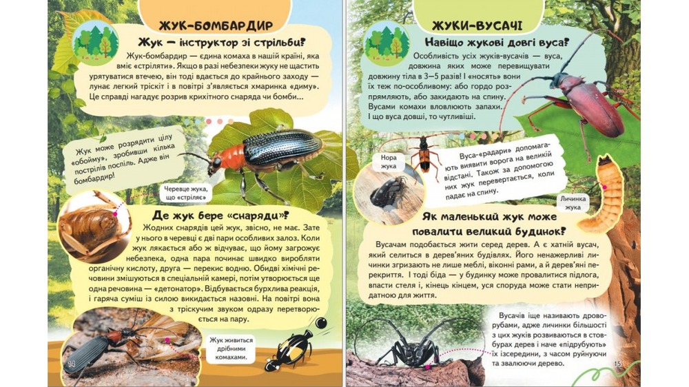 Енциклопедія Комахи та інші. Життя маленьких істот. Фото 5