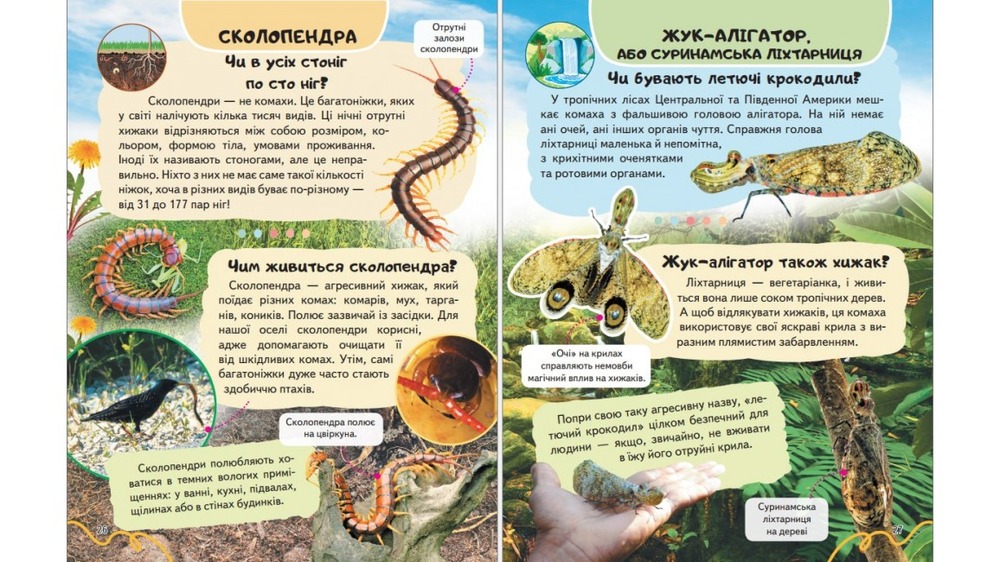 Енциклопедія Комахи та інші. Життя маленьких істот. Фото 6
