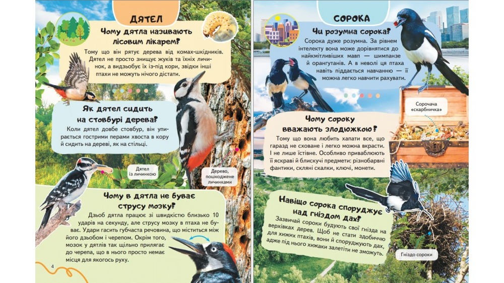 Енциклопедія Птахи. Співці, авіатори, майстри, мисливці. Фото 2