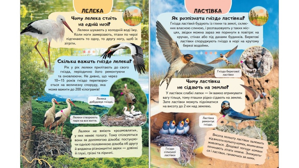 Енциклопедія Птахи. Співці, авіатори, майстри, мисливці. Фото 3