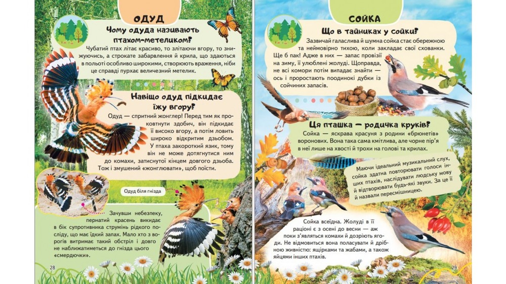 Енциклопедія Птахи. Співці, авіатори, майстри, мисливці. Фото 4