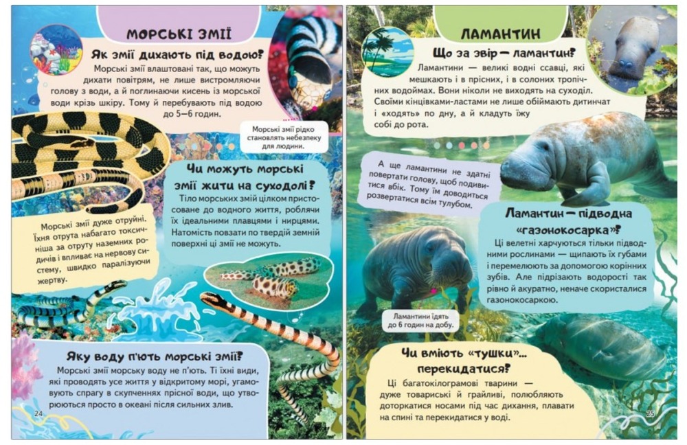 Енциклопедія Водного світу. Від медуз до китів. Фото 2