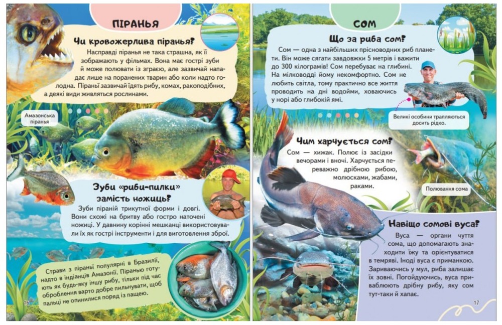 Енциклопедія Водного світу. Від медуз до китів. Фото 3