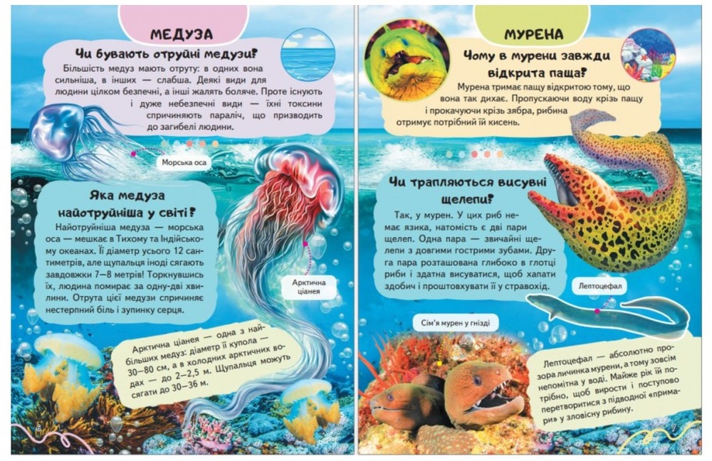 Енциклопедія Водного світу. Від медуз до китів. Фото 4