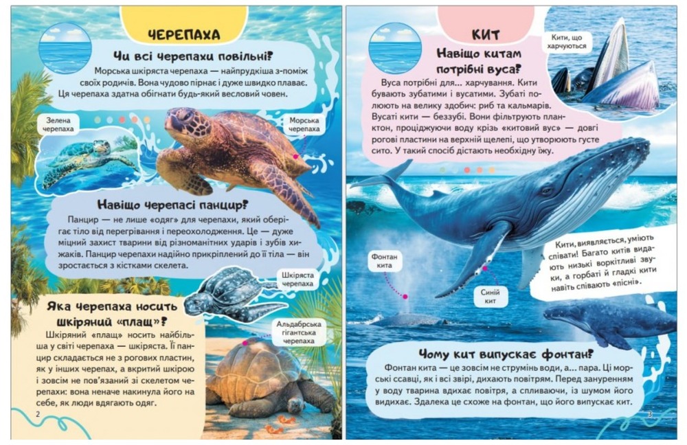 Енциклопедія Водного світу. Від медуз до китів. Фото 5