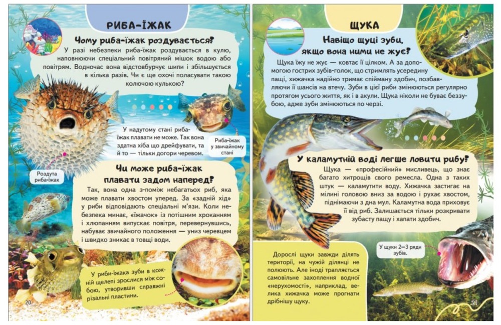 Енциклопедія Водного світу. Від медуз до китів. Фото 6