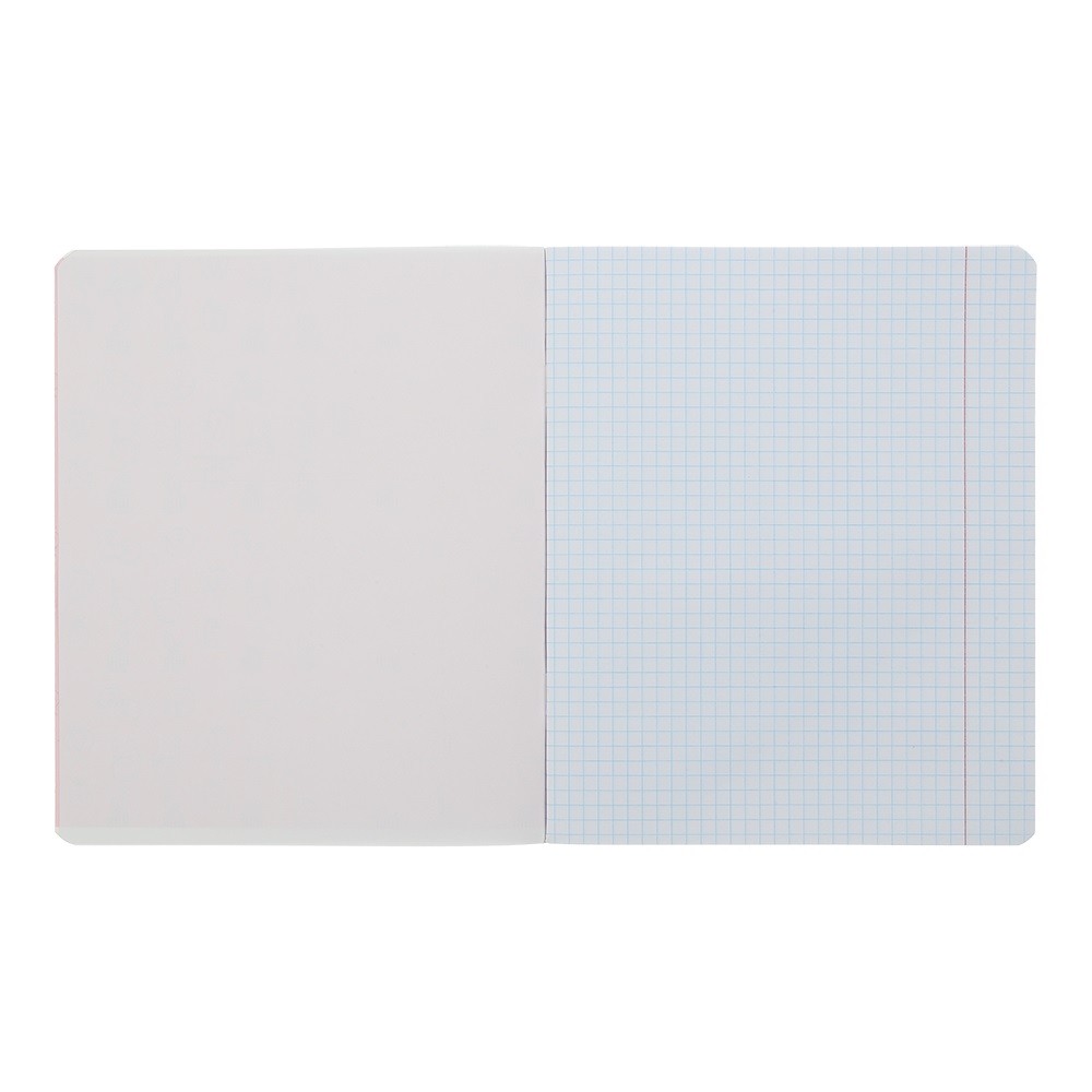 Зошит учнівський ZiBi KIDS LINE PASTEL 48 аркушів, клітинка, блакитний ZB.1701-14. Фото 5