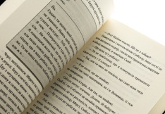 Книга Попіл лине до неба. Том 1 - Матьє Ґібе, Нін Ґорман. Фото 5
