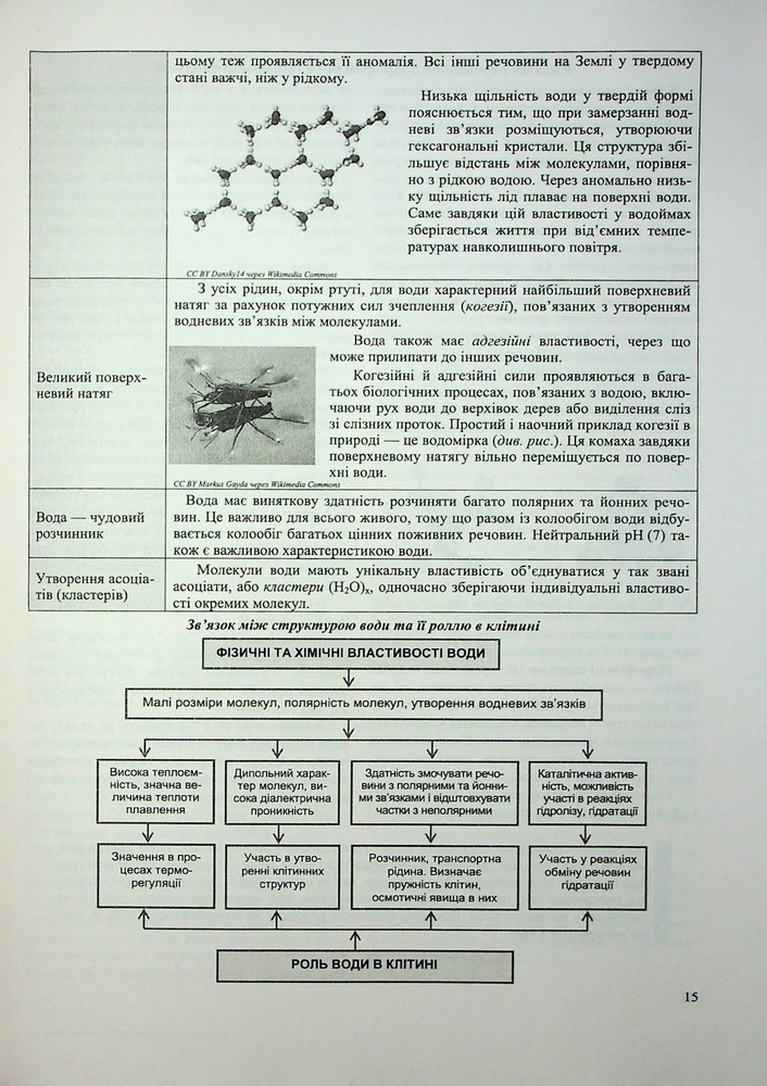 Книга Біологія. Комплексна підготовка до ЗНО/НМТ 2026 - Іван Барна, Антоніна Павліченко. Фото 16