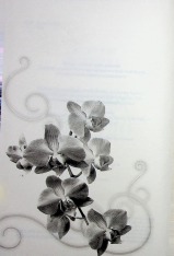 Книга Холодне серце. Книга 1 - Лея Стоун, Джулі Холл. Фото 4