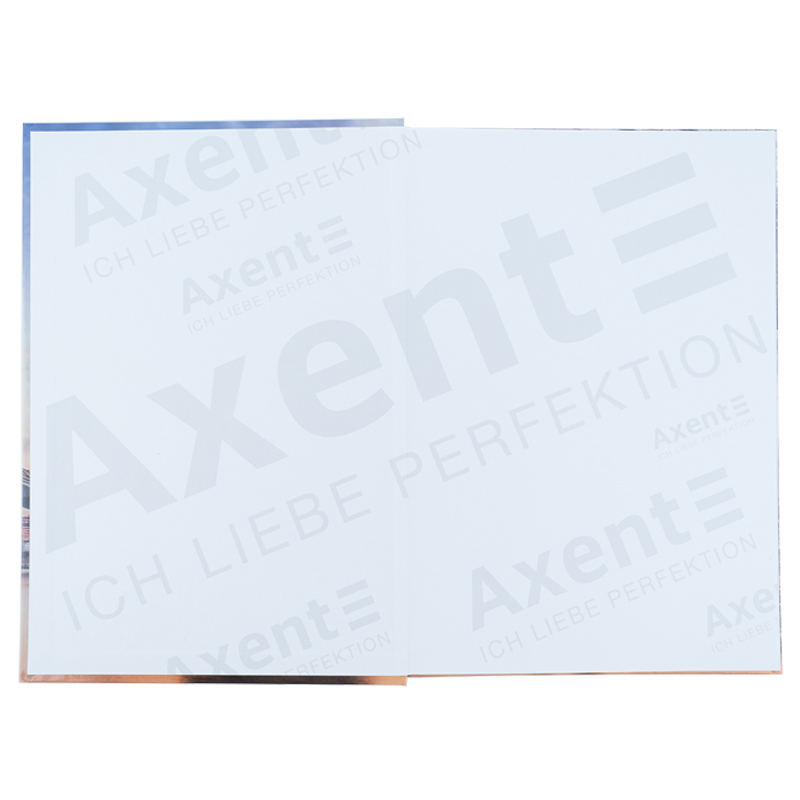 Книга записна Axent Power А4, 96 аркушів, клітинка  8422-567-A. Фото 2