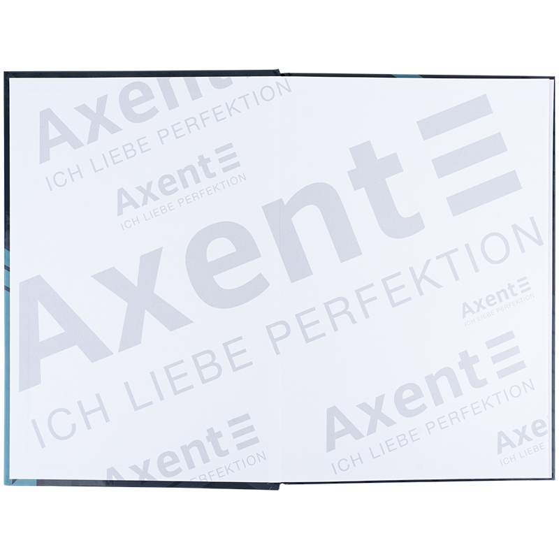 Книга записна Axent Lines А4, 96 аркушів, клітинка, сіра 8422-580-A. Фото 3