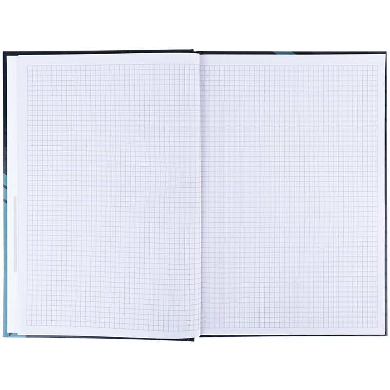 Книга записна Axent Lines А4, 96 аркушів, клітинка, сіра 8422-580-A. Фото 4