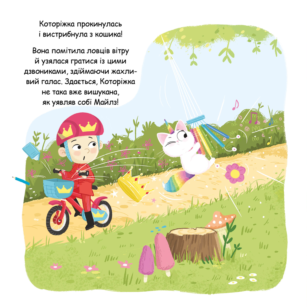 Книга Которіжка - Матільда Роуз. Фото 9