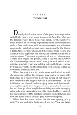 Книга The Wonderful Wizard of Oz (Чарівник країни Оз) - Ліман Френк Баум. Фото 5