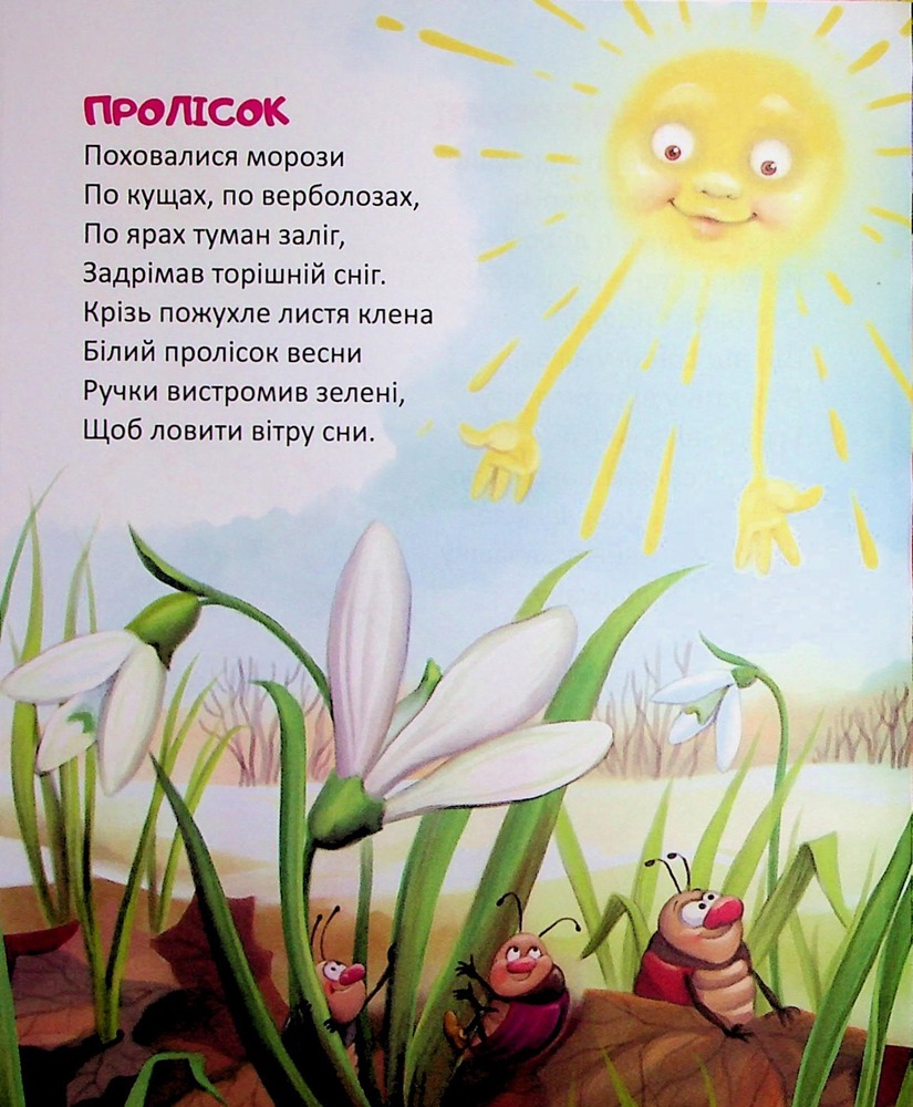 Книга Райдуговолоска. Фото 3