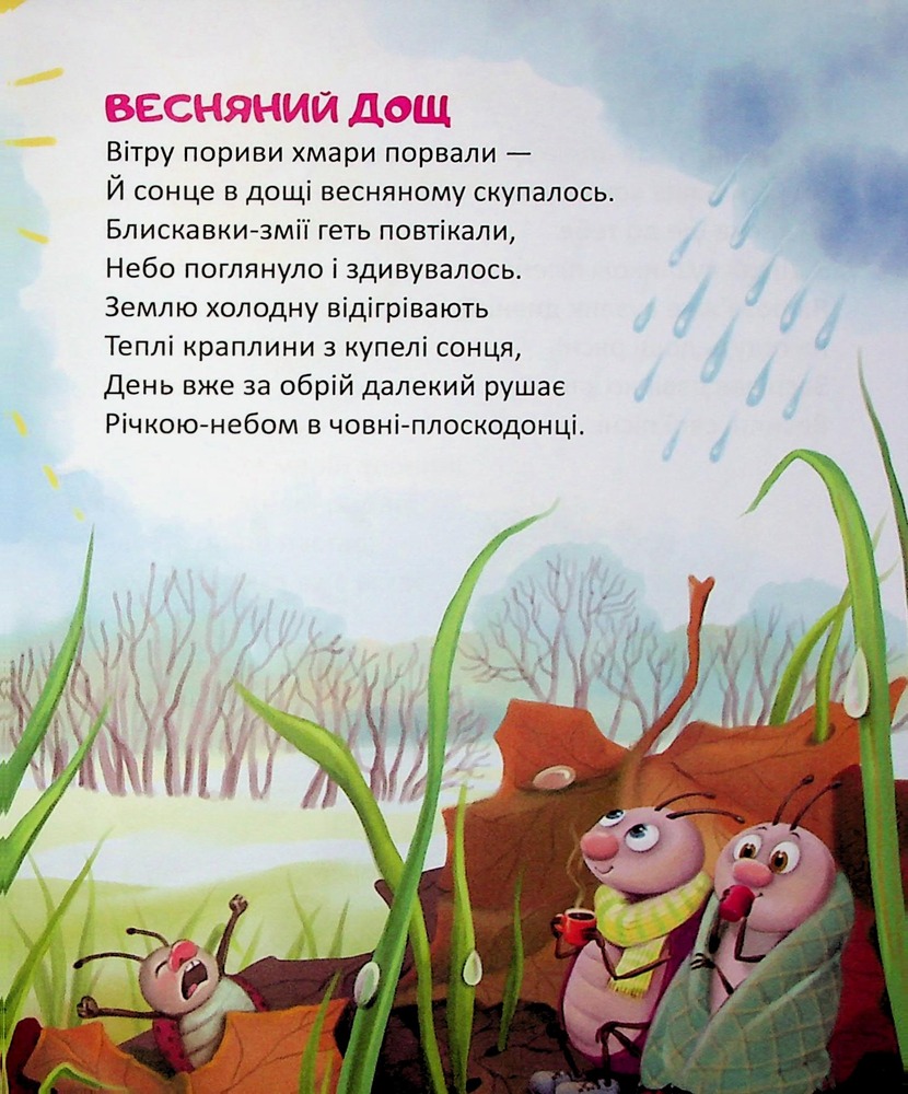 Книга Райдуговолоска. Фото 4