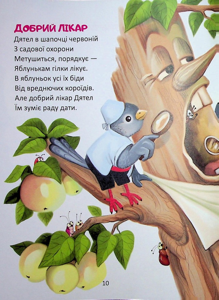 Книга Райдуговолоска. Фото 9