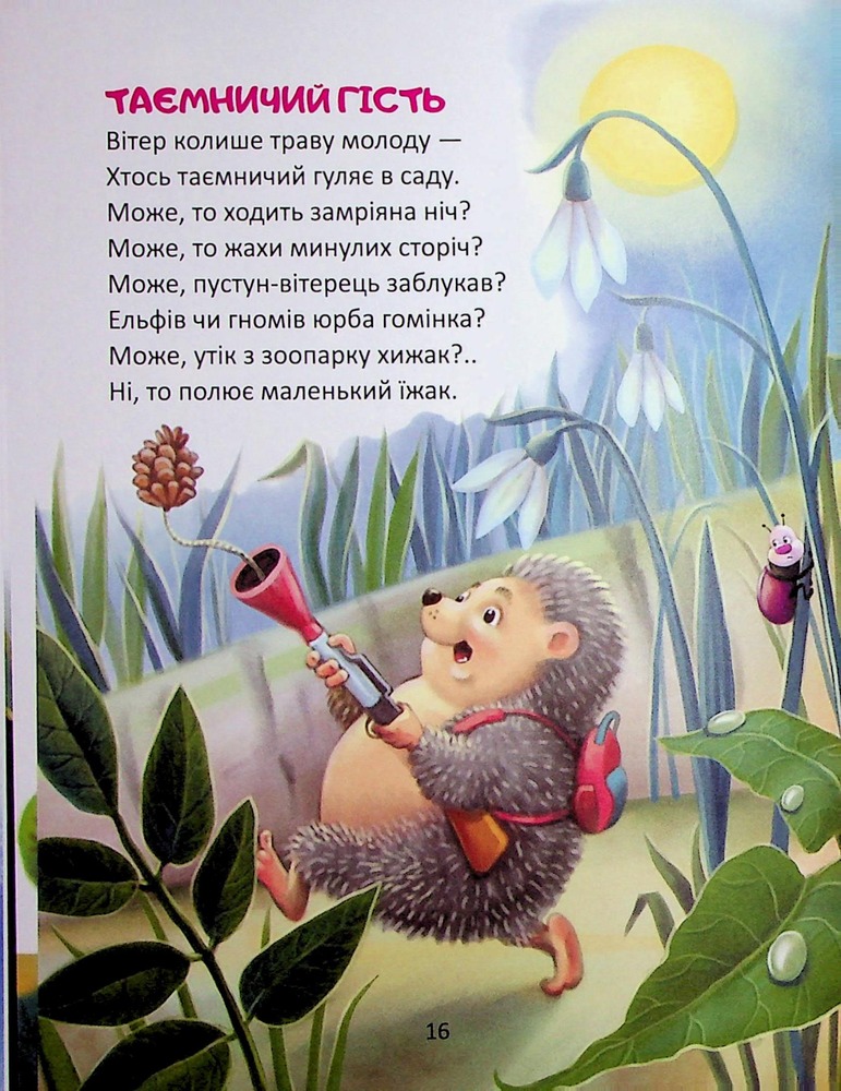 Книга Райдуговолоска. Фото 11