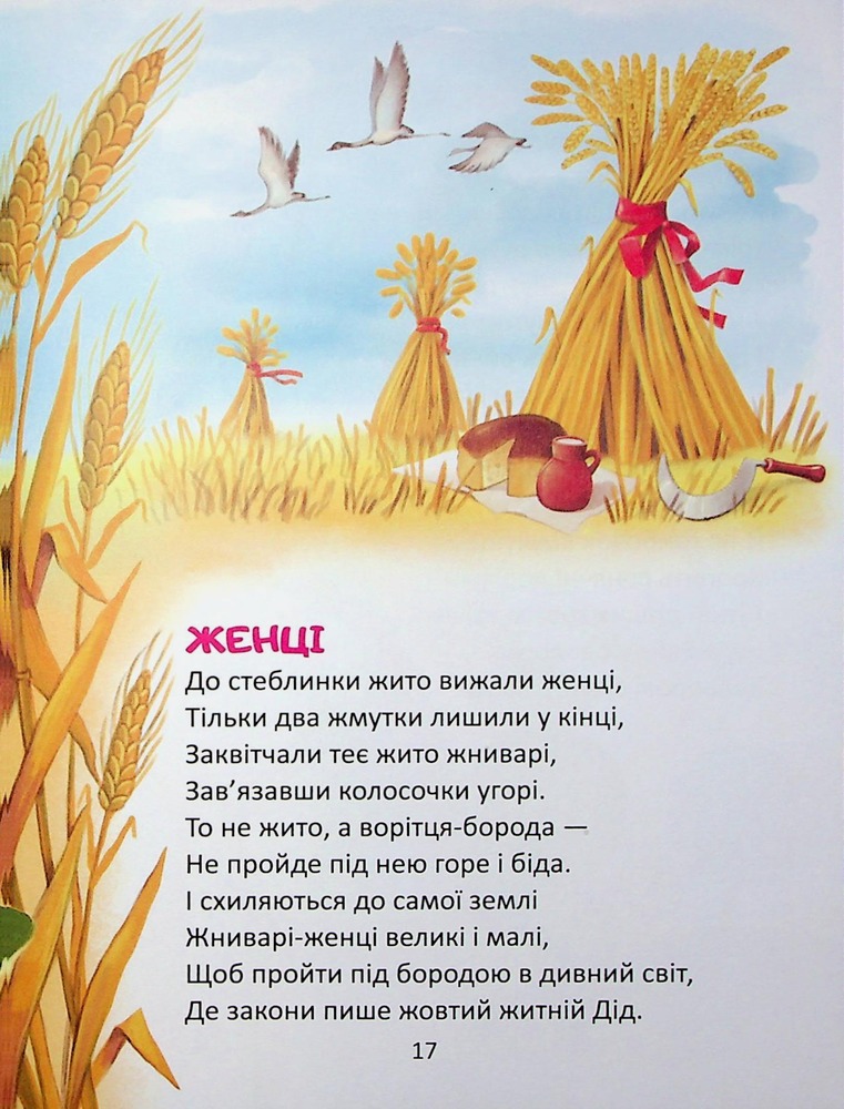 Книга Райдуговолоска. Фото 12