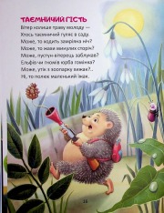 Книга Райдуговолоска. Фото 11