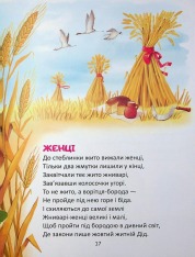 Книга Райдуговолоска. Фото 12