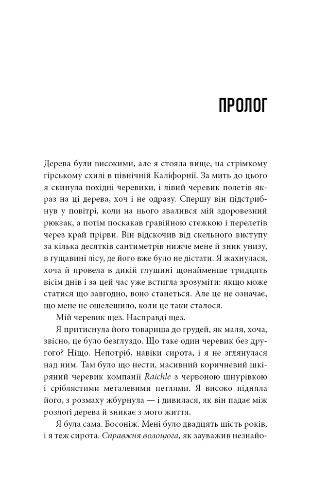 Книга Дика. Шлях від втрати до віднайдення себе - Шерил Стрейд. Фото 5