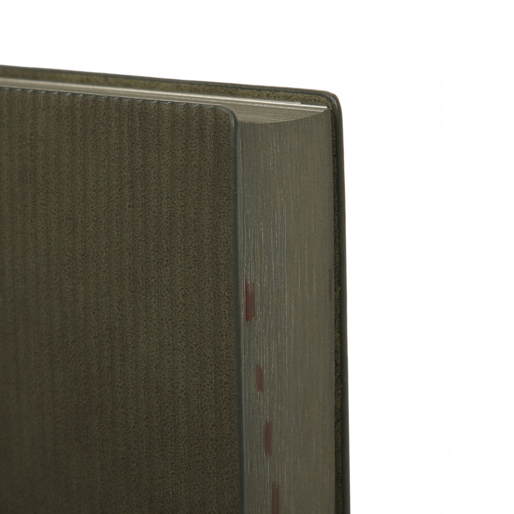 Щоденник датований 2026 Leo Planner ф. А5 "Velvet", м'який, темно-зелений, 368 сторіно. Фото 2