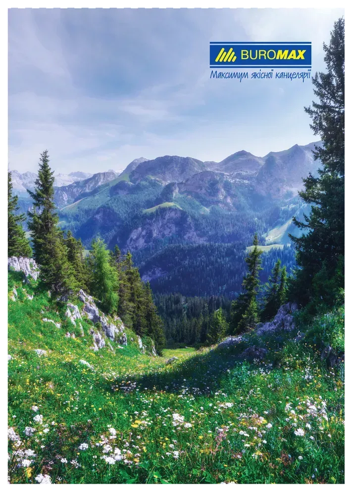 Книга канцелярська Buromax Природа А4 96 аркушів в клітинку асорті дизайнів BM.2430. Фото 3