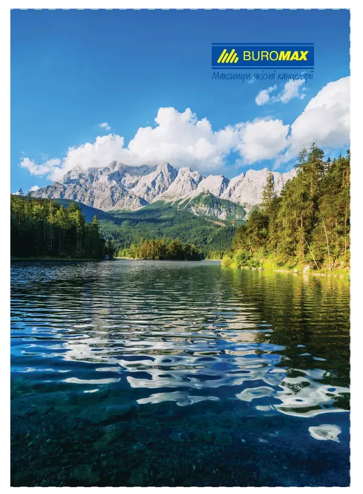 Книга канцелярська Buromax Природа А4 96 аркушів в клітинку асорті дизайнів BM.2430. Фото 2