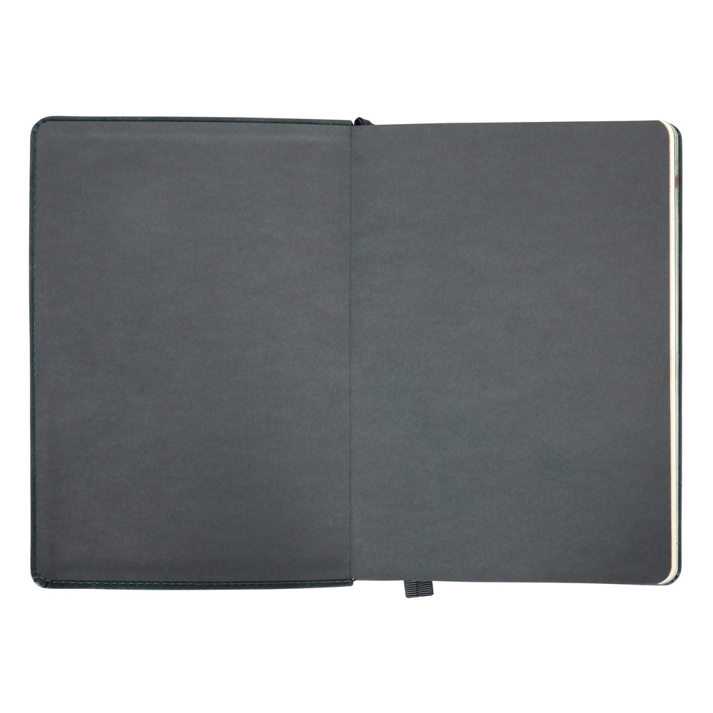 Щоденник датований 2026 Leo Planner ф. А5 "Case", інтегральний, темний смарагд, 368 сторінок. Фото 3