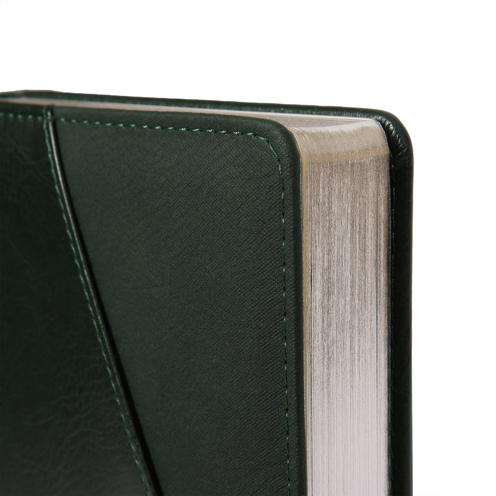 Щоденник датований 2026 Leo Planner ф. А5 "Whisky", твердий, зелений, 368 сторінок. Фото 2