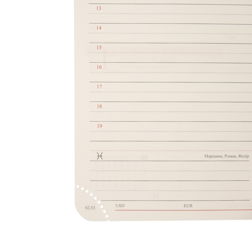 Щоденник датований 2026 Leo Planner ф. А6 "Luna", твердий, чорний, 352 сторінки. Фото 11