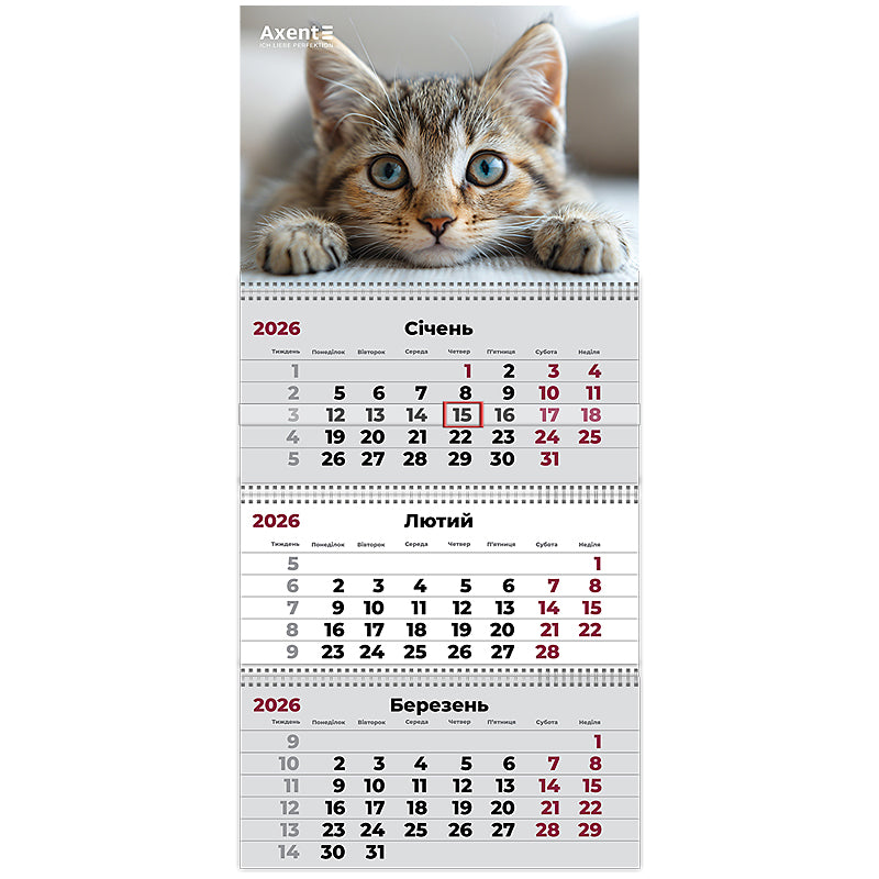 Календар настінний квартальний 2026 р. Axent, 8803-26-13-A 3 пр. Cats 1