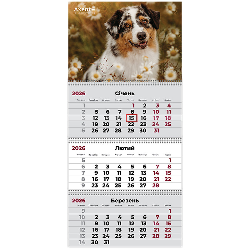 Календар настінний квартальний 2026 р. Axent, 8803-26-16-A 3 пр. Dogs 1