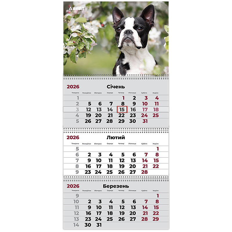 Календар настінний квартальний 2026 р. Axent, 8803-26-17-A 3 пр. Dogs 2