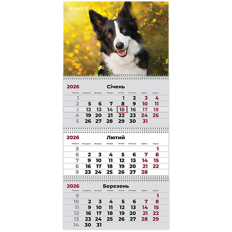 Календар настінний квартальний 2026 р. Axent, 8803-26-18-A 3 пр. Dogs 3
