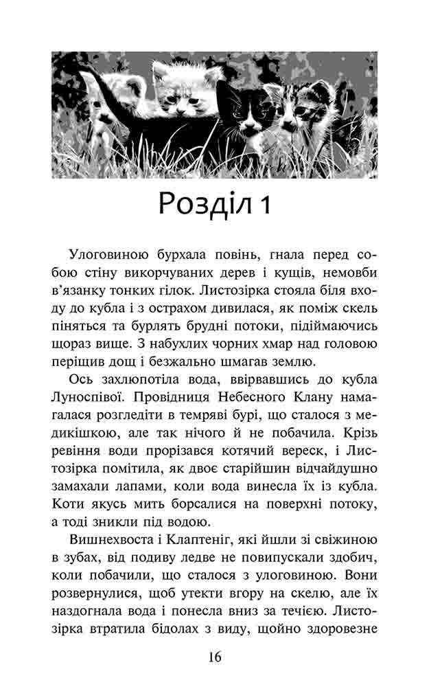 Книга Коти - вояки. Доля Небесного Клану. Спеціальне видання - Ерін Гантер. Фото 2