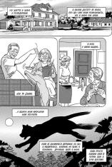Книга Коти - вояки. Манґа 5. Тигрозір і Саша. У ліси! - Ерін Гантер (м'яка обкладинка). Фото 5